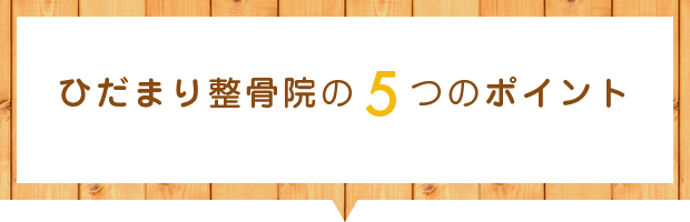 ひだまり整骨院の5つのポイント